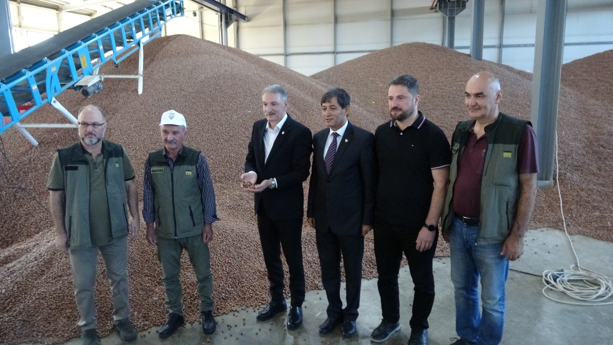 TMO Yönetim Kurulu Başkanı Güldal: Çiftçi kayıt sisteminde 2 ton fındık görülüyor, ama elde ettiği fındık 1 ton