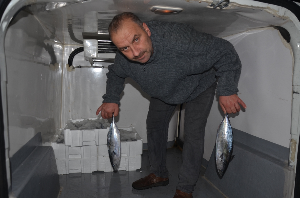 Ordu Balık Hali'ne getirilen tonlarca balık, saatler içerisinde tükeniyor