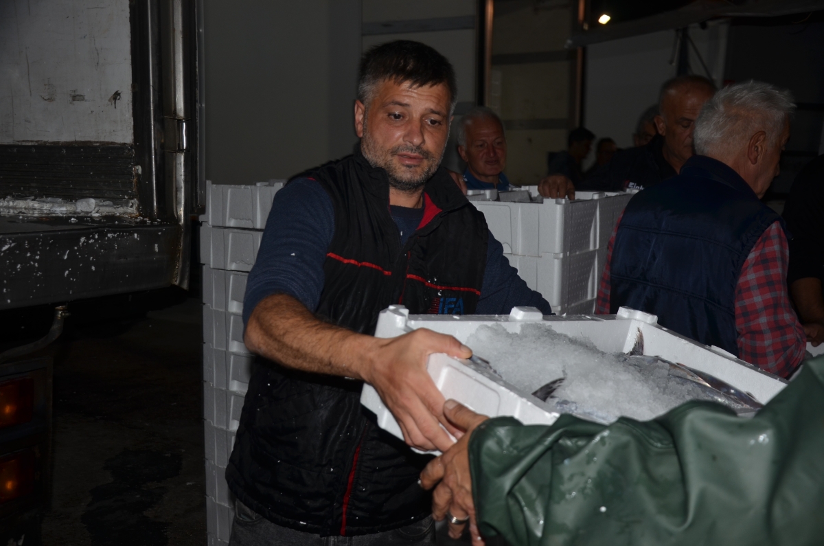 Ordu Balık Hali'ne getirilen tonlarca balık, saatler içerisinde tükeniyor