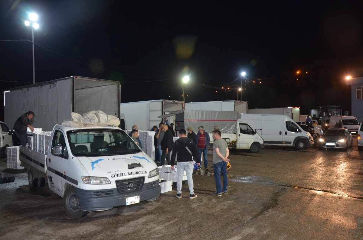 Ordu Balık Hali'ne getirilen tonlarca balık, saatler içerisinde tükeniyor