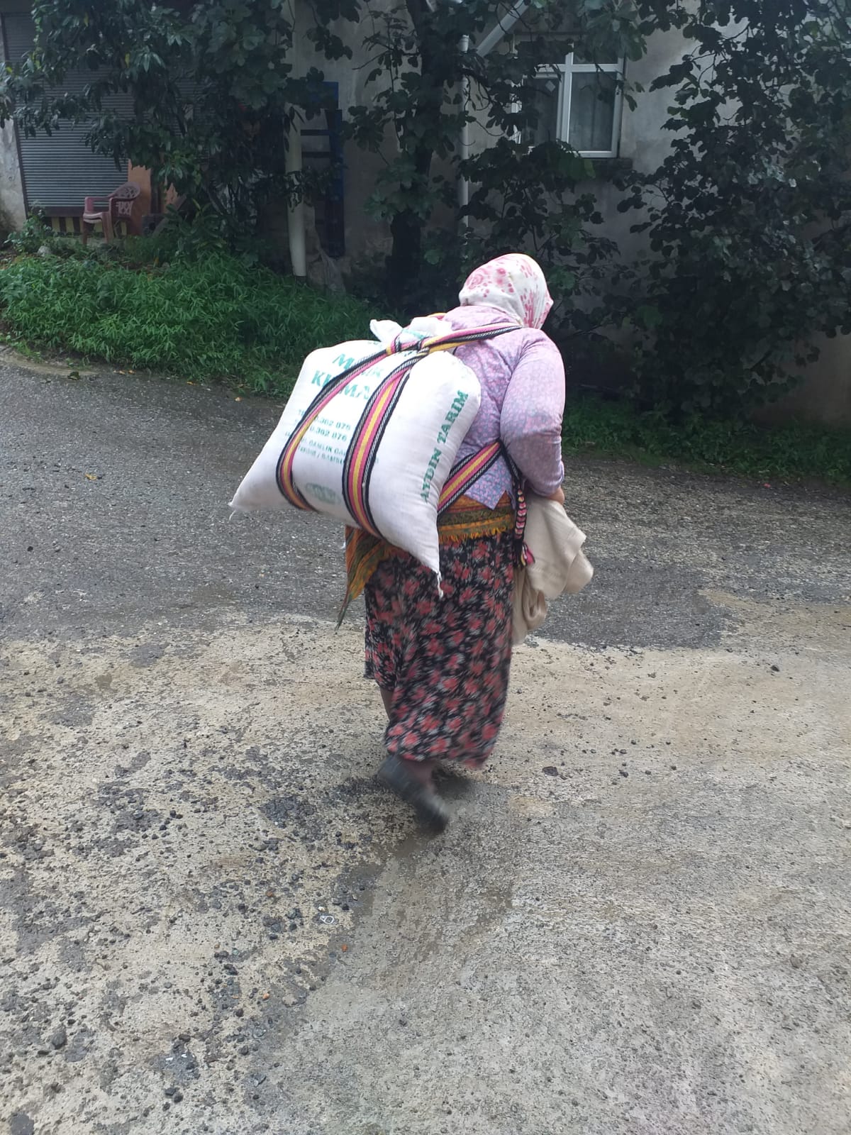 Doğu Karadeniz’de Asırlardır Ayrılmayan İki Kardeş: Su Değirmeni ve Mısır