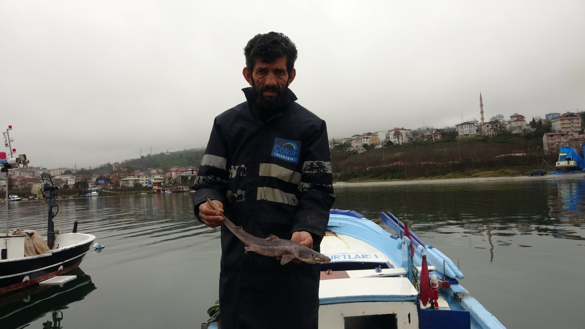 Doğu Karadeniz Balık Avı için verimsizleşiyor