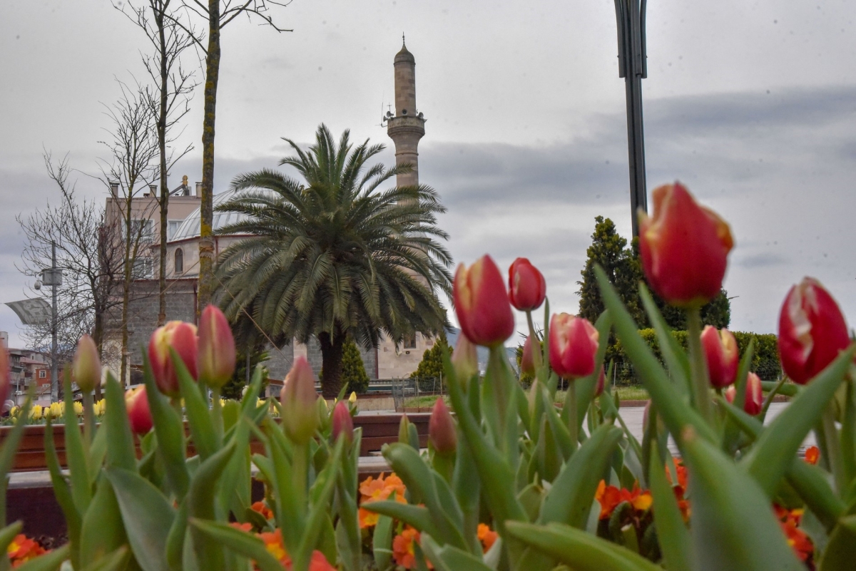 Giresun çiçeklerle renklendi
