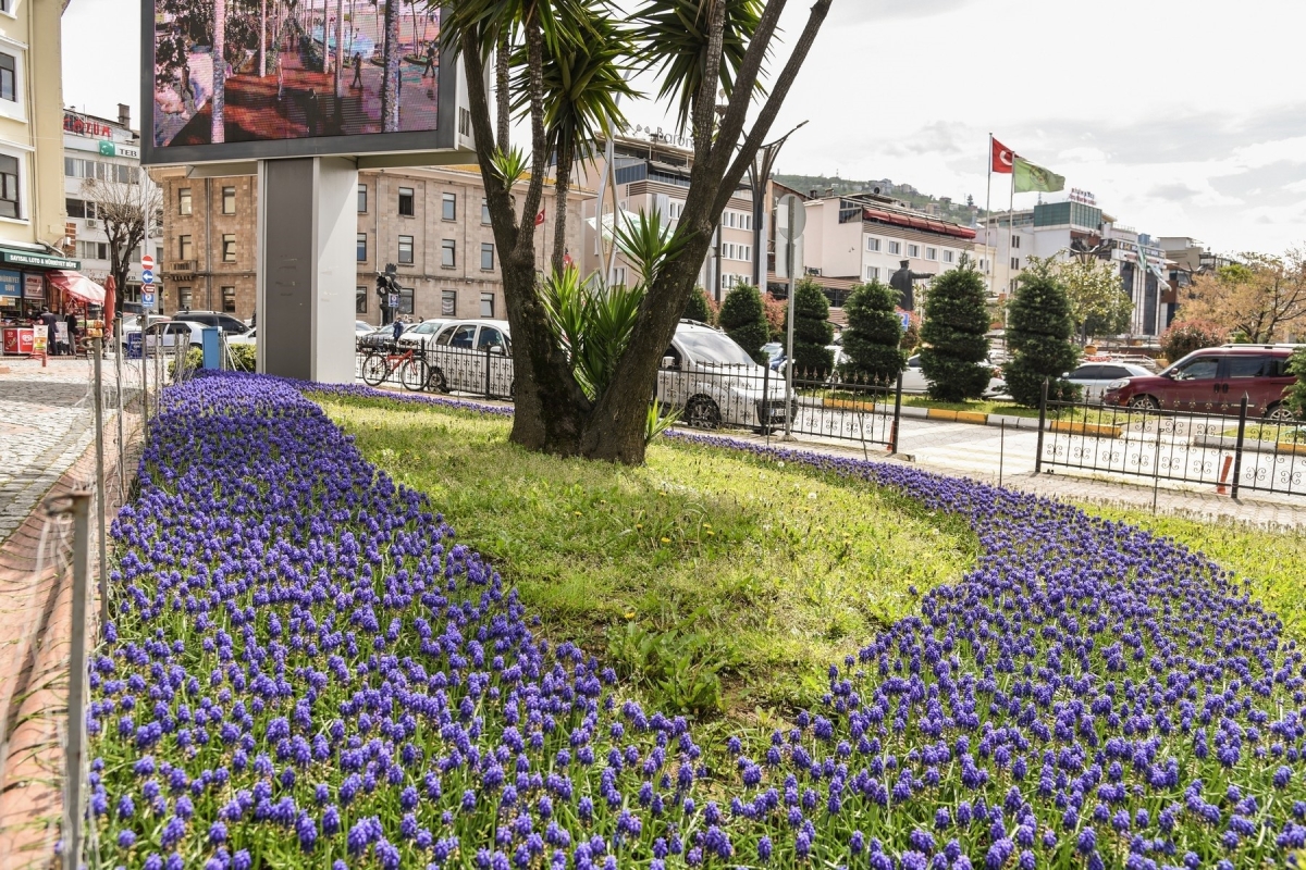 Giresun çiçeklerle renklendi