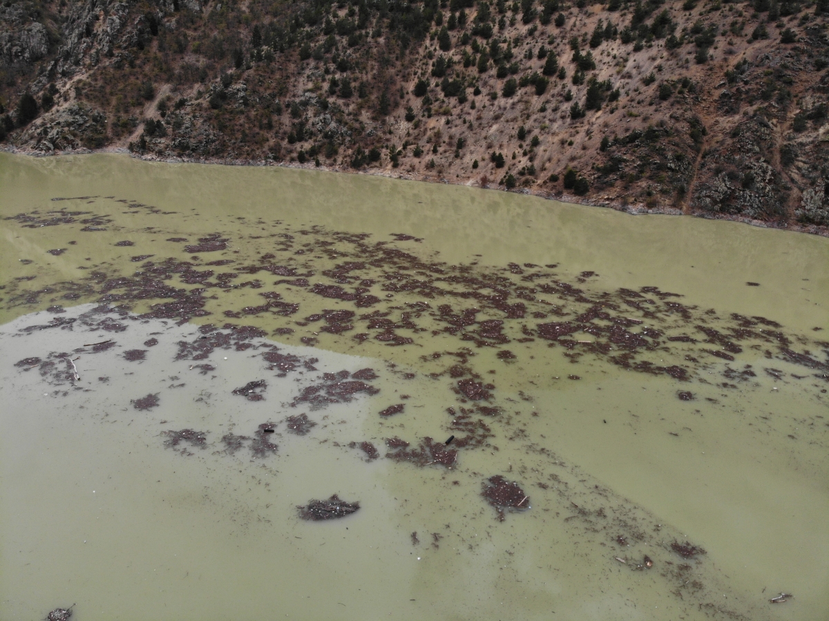 Torul Baraj Gölü’nde çöp adaları yüzmeye başladı