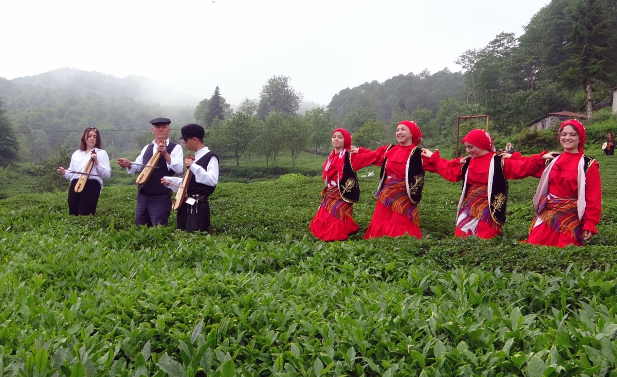  Türkiye'nin en kaliteli fındığının yetiştirildiği Giresun’un Eynesil, Görele, Tirebolu, Çanakçı ve Güce ilçelerinde 15 bin dolayında üreticinin yılda yaklaşık 40 bin ton civarında üretimi gerçekleştirilen çay hasadı başladı.