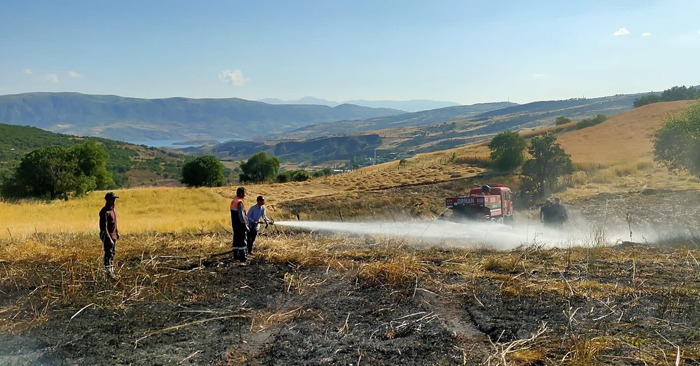 Şebinkarahisar Çağlayan Köyünde çıkan yangın söndürüldü