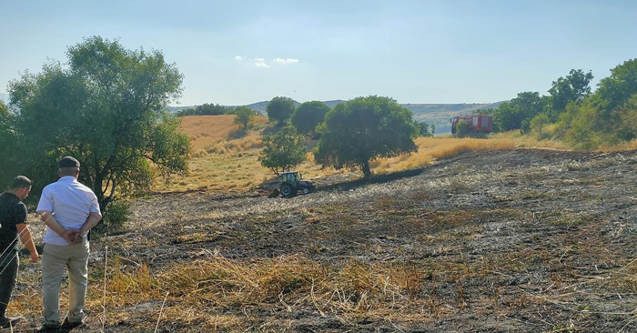 Şebinkarahisar Çağlayan Köyünde çıkan yangın söndürüldü