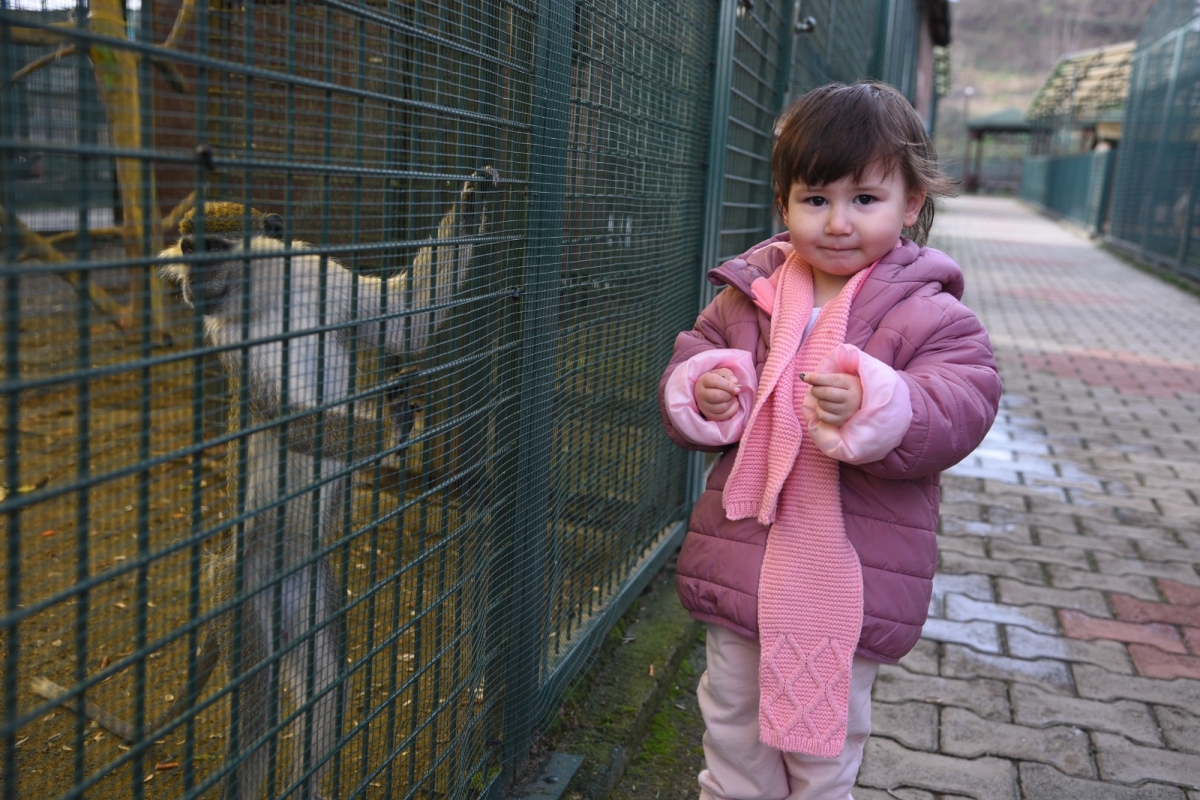 Giresun Belediyesi Hayvanat Bahçesi Ziyaretçilerini Ağırlıyo