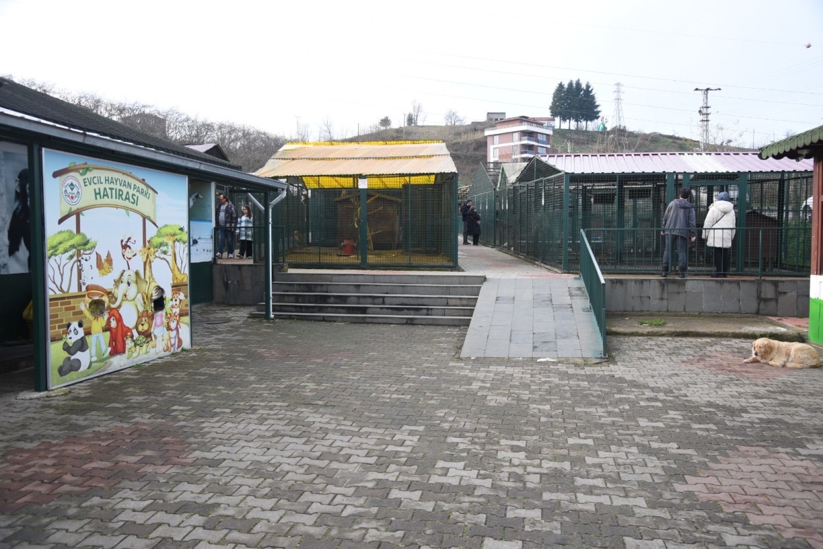 Giresun Belediyesi Hayvanat Bahçesi Ziyaretçilerini Ağırlıyo