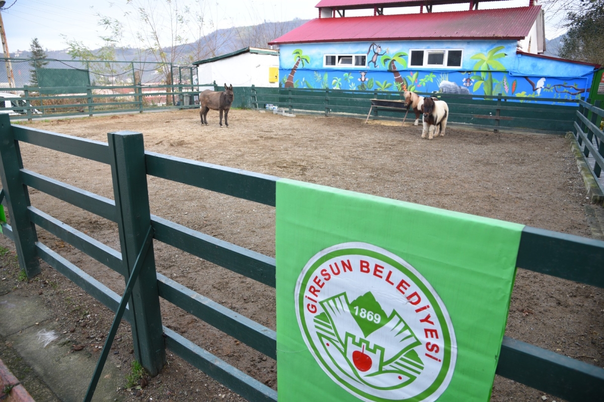 Giresun Belediyesi Hayvanat Bahçesi Ziyaretçilerini Ağırlıyo
