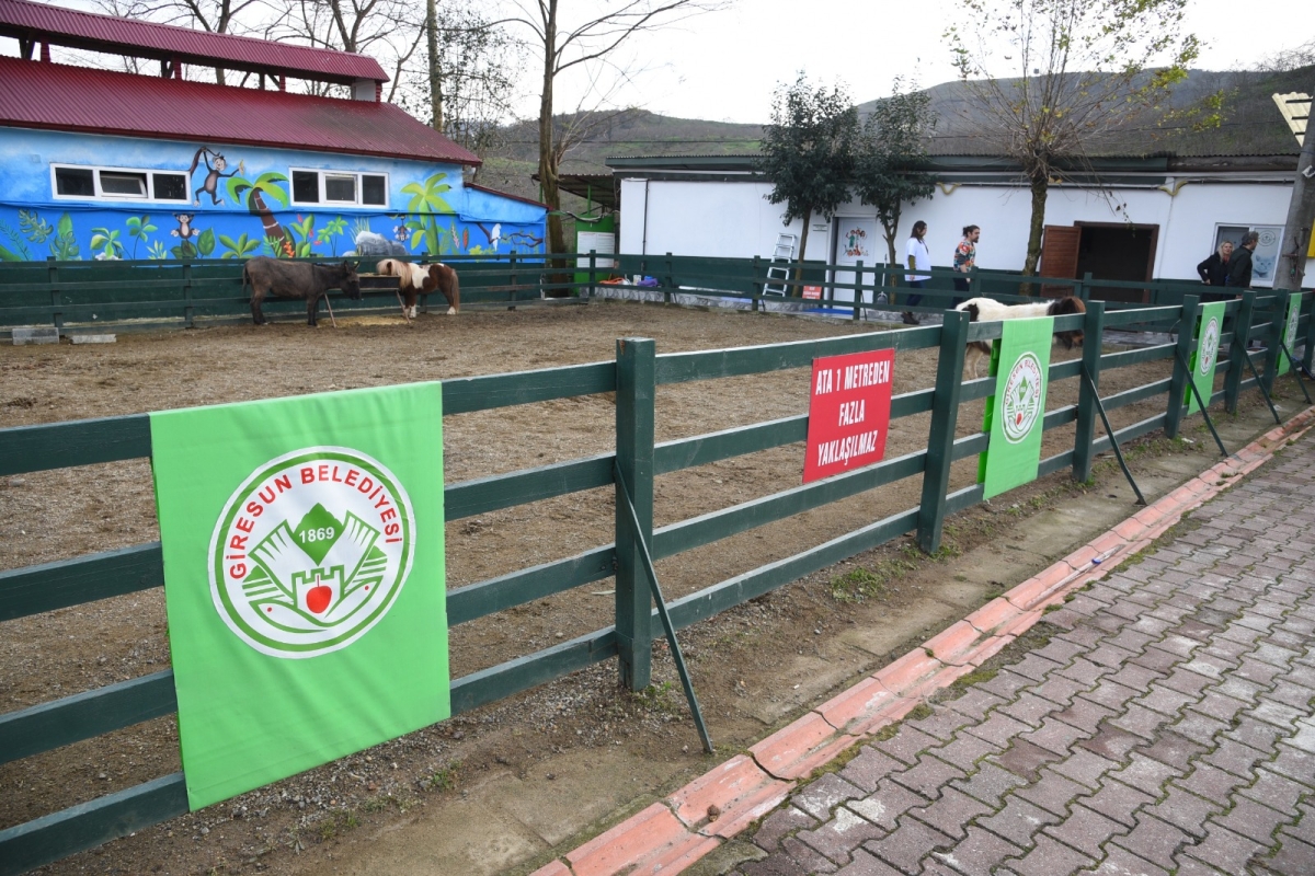 Giresun Belediyesi Hayvanat Bahçesi Ziyaretçilerini Ağırlıyo