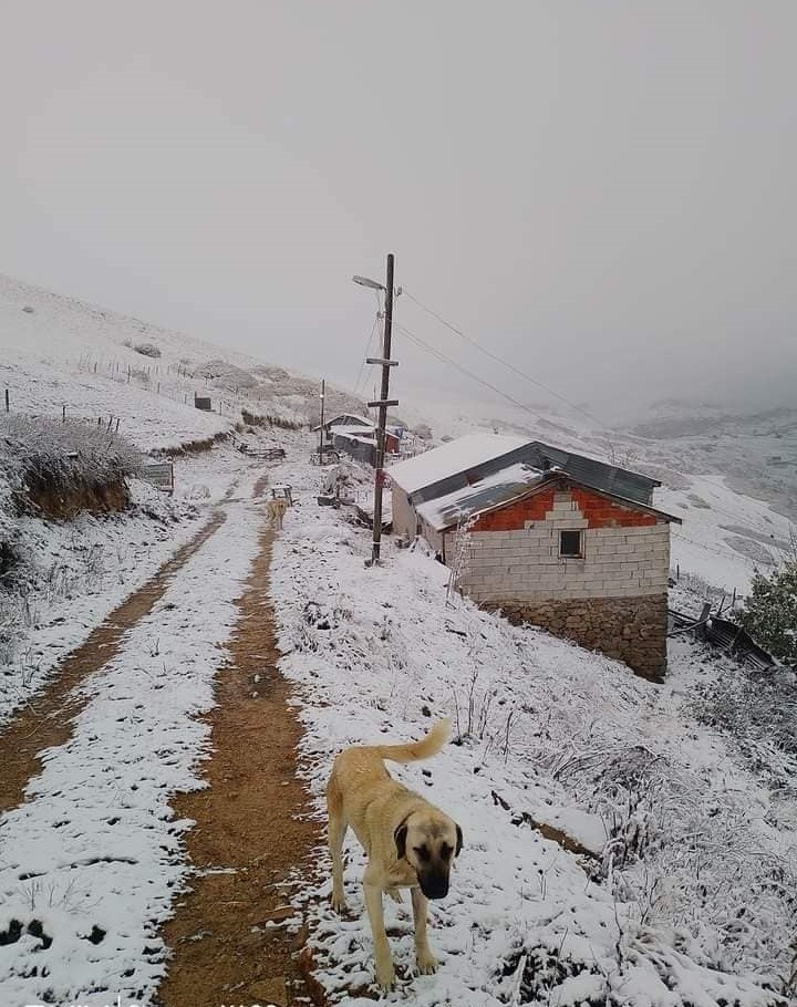 Giresun'un yüksek kesimlerinde kar yağışı etkisini gösterdi