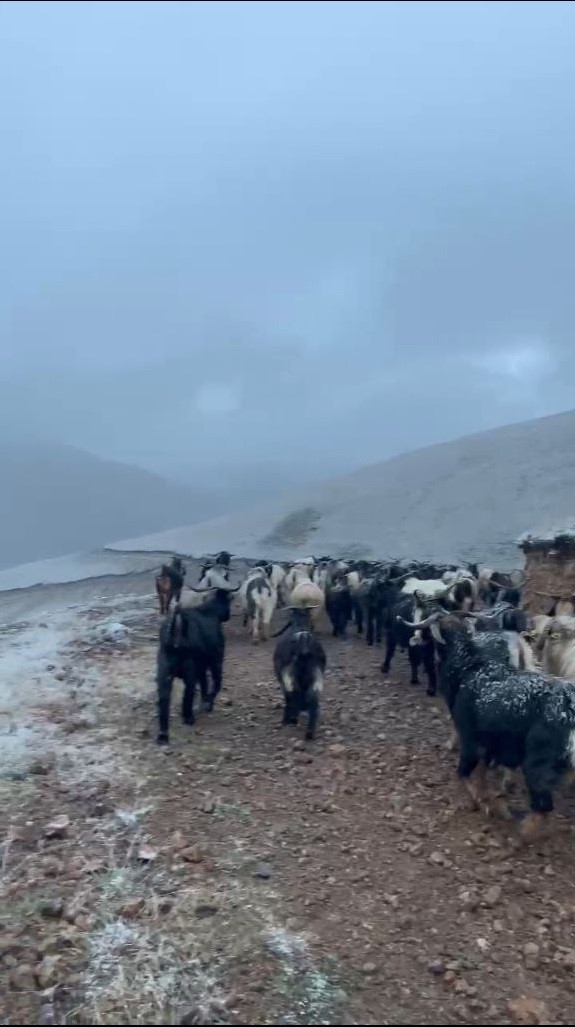 Giresun'un yüksek kesimlerinde kar yağışı etkisini gösterdi