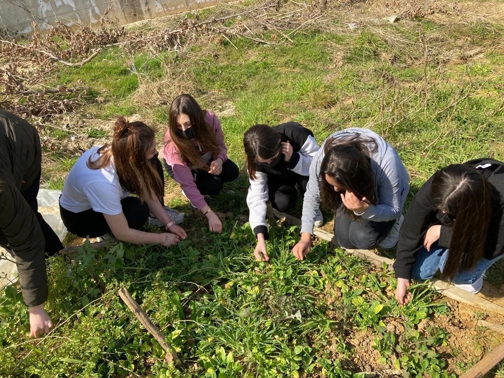 Öğrenciler,  e-Twinning’ projesi ile endemik bitkileri tanıyor
