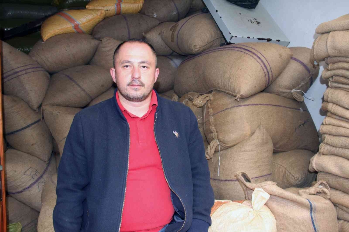 Fındık fiyatları yükselişe geçti
