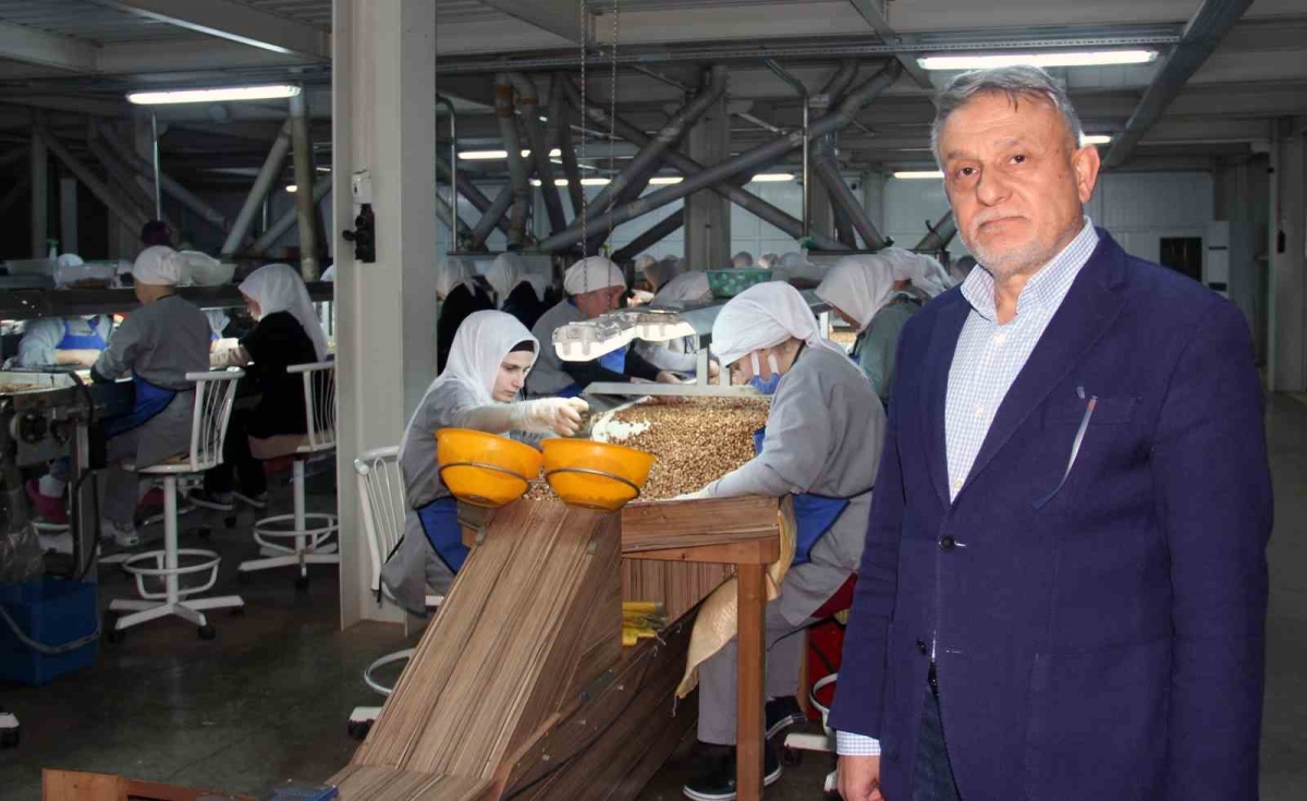 Tüccarlar fındık fiyatının düşüşünü değerlendirdi

