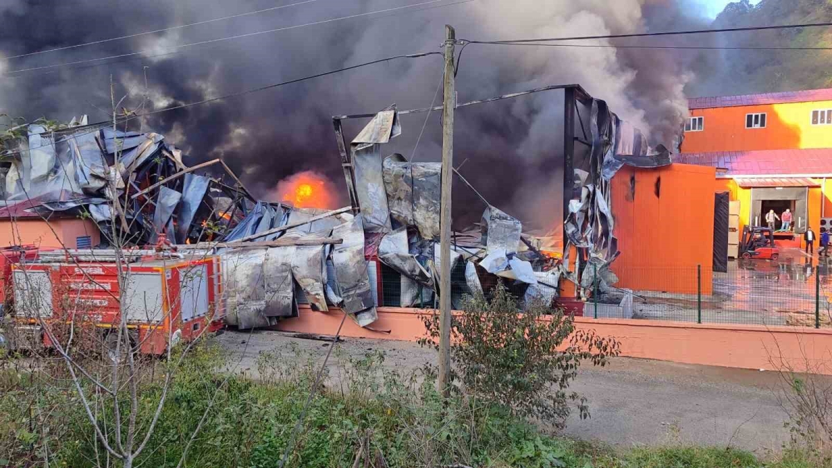 Giresun’da balık tesisinde yangın
