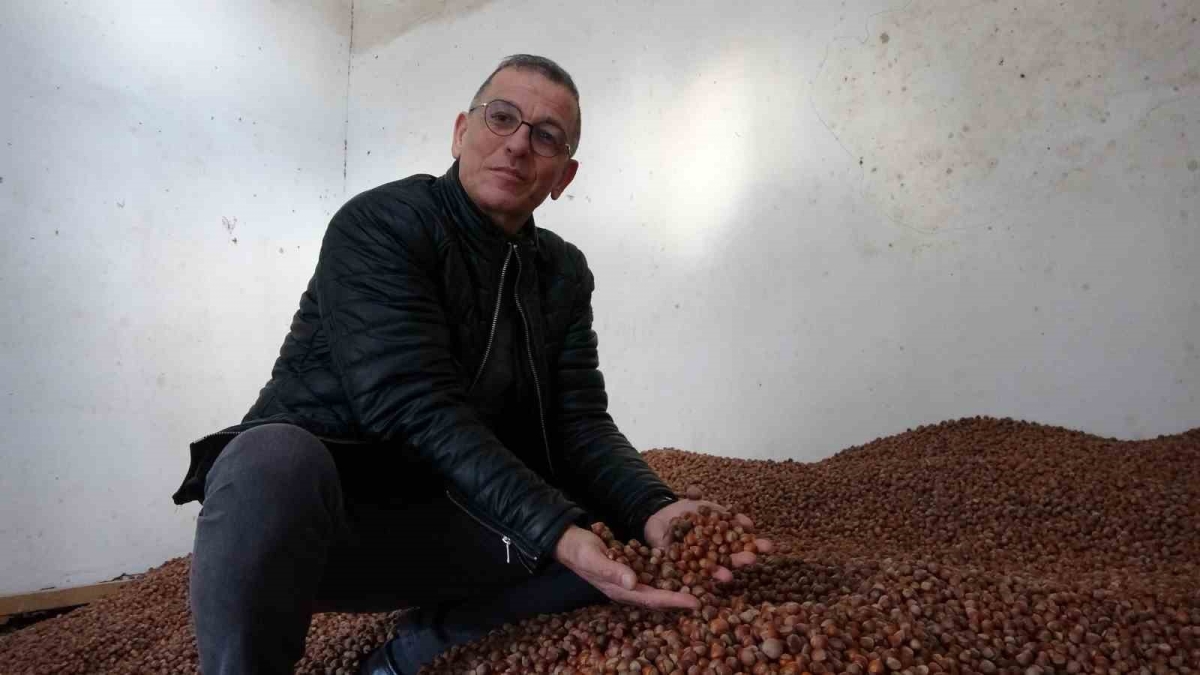 Fındık fiyatındaki dalgalanmadan üretici de tüccar da memnun değil
