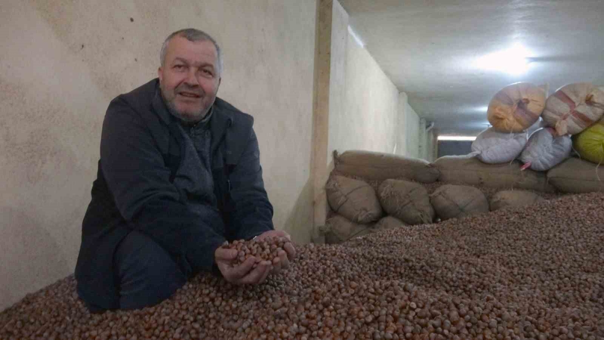Döviz kurundaki ve sıcaklık değerlerindeki yükseliş fındık fiyatlarını da tırmandırıyor
