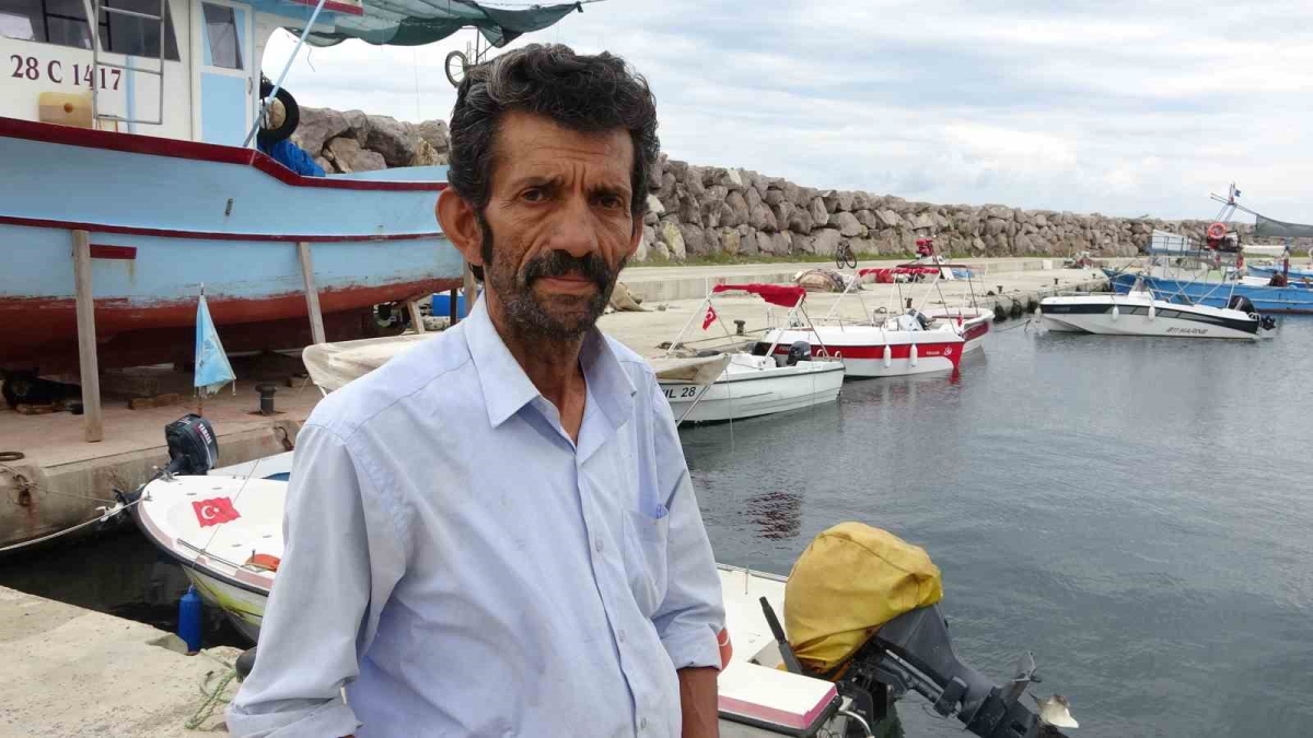 Balıkçılar bu sezon palamuttan umutlu
