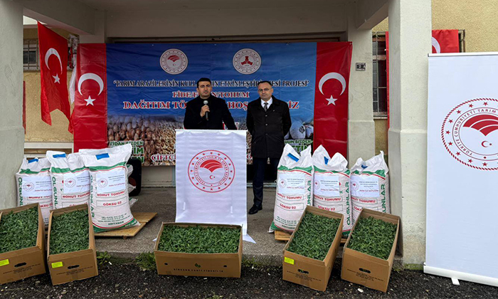 Şebinkarahisar’da Üreticiye %75 Hibeli Nohut Tohumu Dağıtıldı