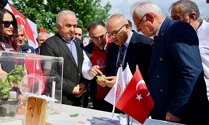 Giresun’da 130 Bin Samuray Arısı Doğaya Salındı