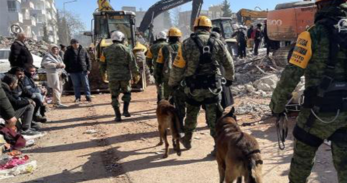 Deprem Bölgesinin kurtarma köpeklerinden 