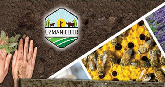 Projeye uygun kişilere verilecek 250 bin lira hibe destek başvuruları başladı