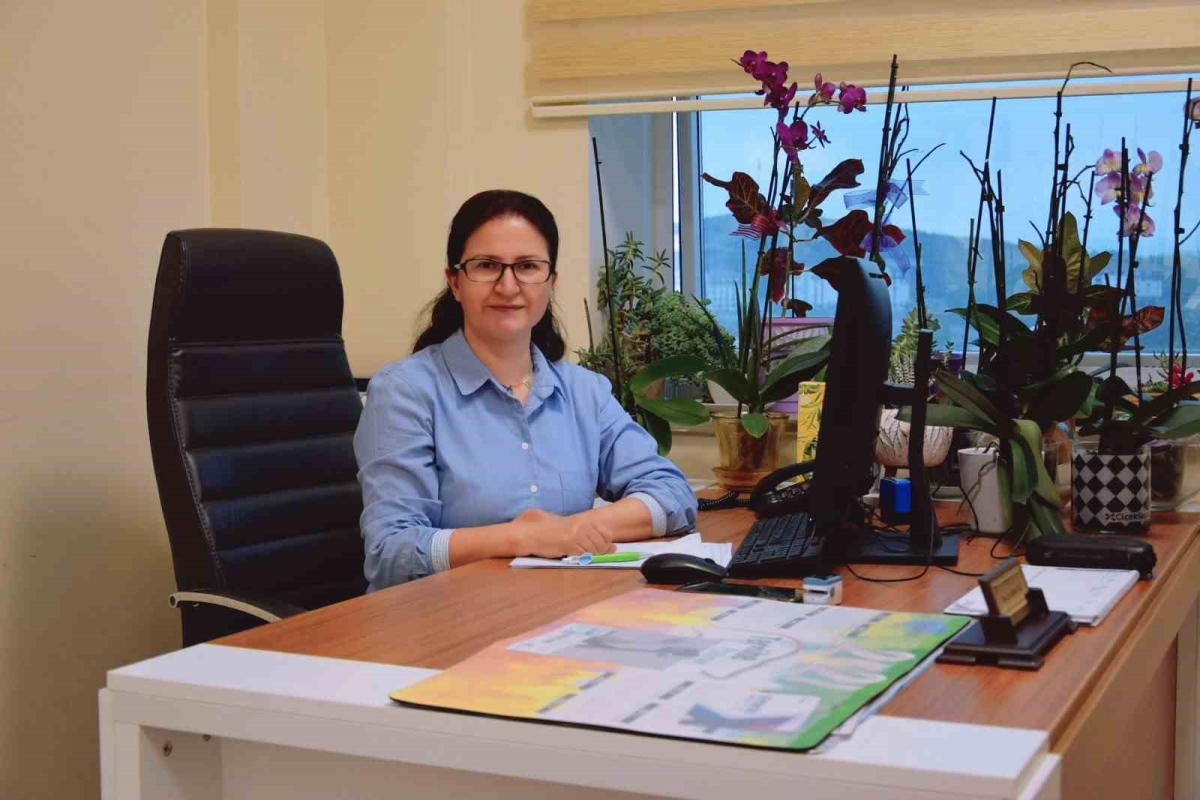Bahar ve yaz aylarının korkulan hastalığı
