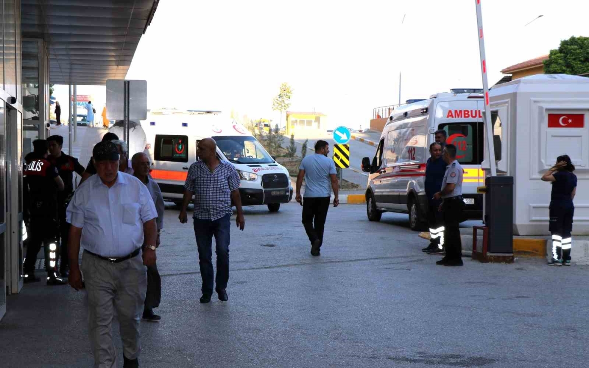 Arı sokmasına bağlı ciddi alerjik reaksiyonlar ölüme sebep olabilir
