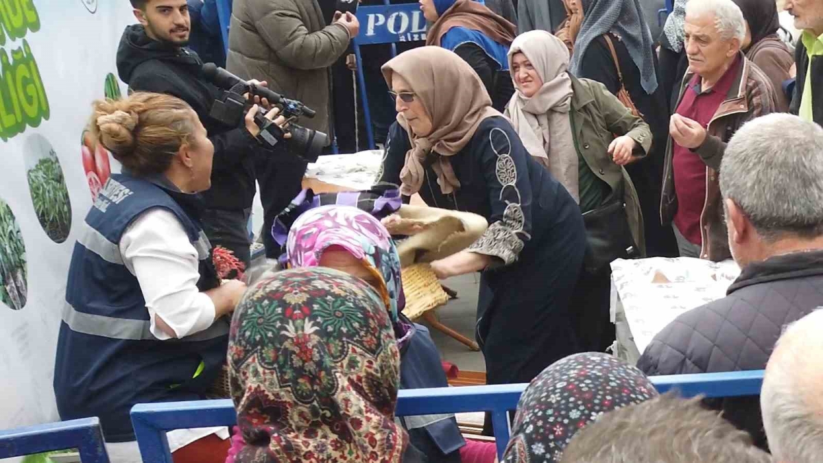 Rize’de Ata tohumu ve fide dağıtımında izdiham
