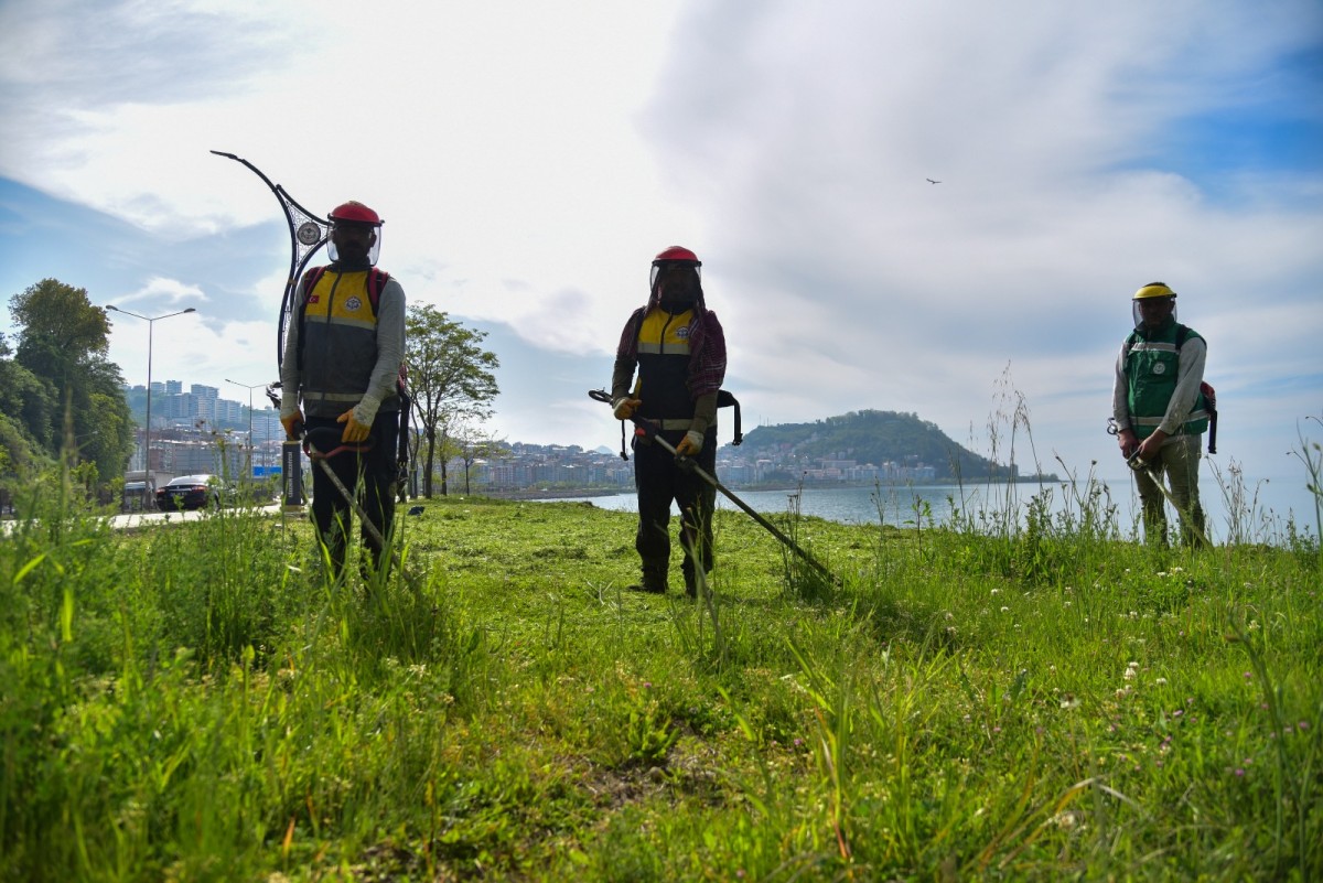 Giresun sahil şeridi temizliği için belediye harekete geçti