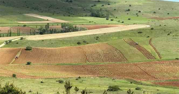 Çamoluk ilçesinde atıl araziler tarıma kazandırılıyor
