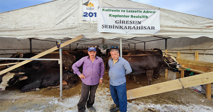 Şebinkarahisarlı kurbancılar İstanbul'a geldi hemşehrilerini bekliyorlar
