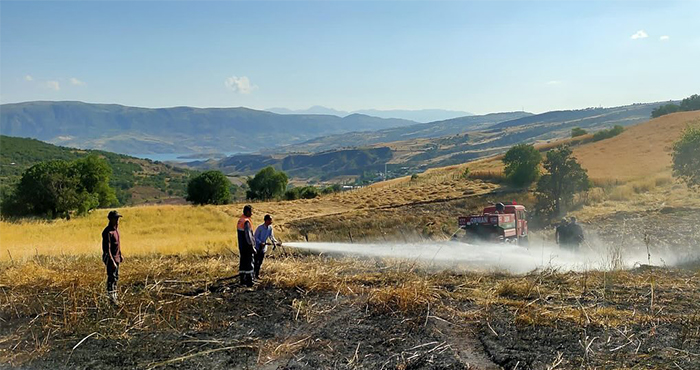 Şebinkarahisar Çağlayan Köyünde çıkan yangın söndürüldü