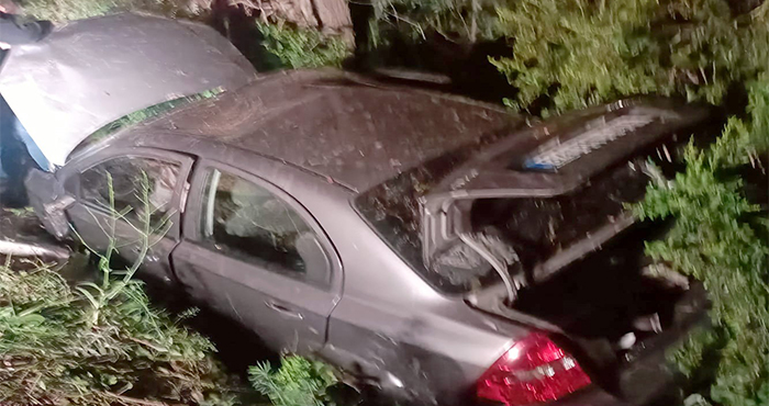 Kelkit’te meydana gelen kazada 3’ü çocuk 5 yaralı   