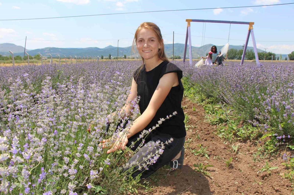 Süpürge mi dikiyorsun? diyenlere inat lavanta yetiştirdi
