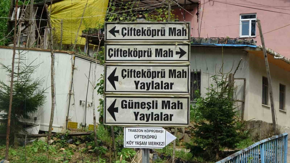 Trabzon’da şaşırtan tabela
