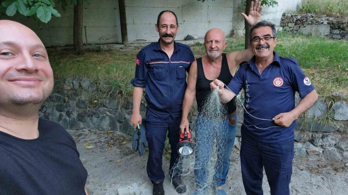 Tırıvırıyla kedi kurtarma operasyonu
