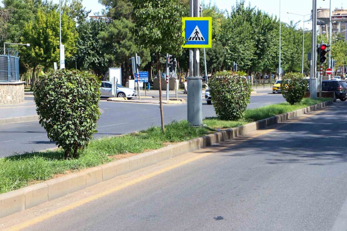 Su tasarrufu için kuru peyzaj çalışmaları başladı
