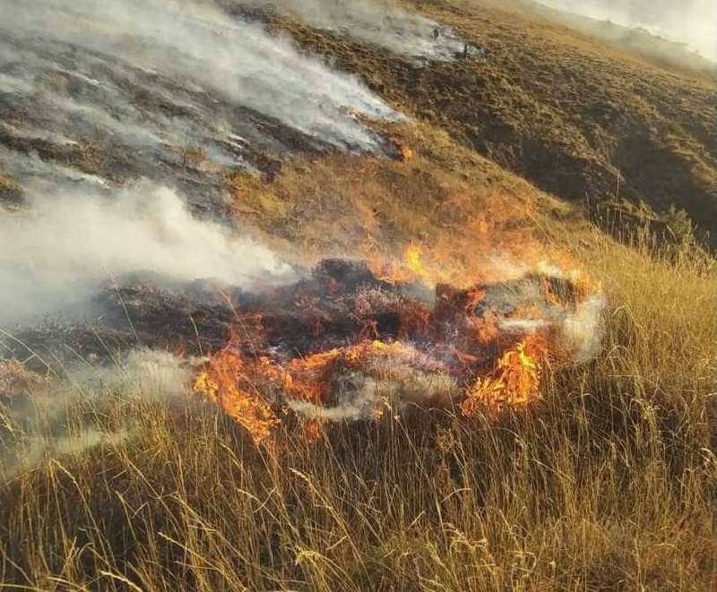 Farklı köylerde çıkan örtü yangınlarına müdahale edildi
