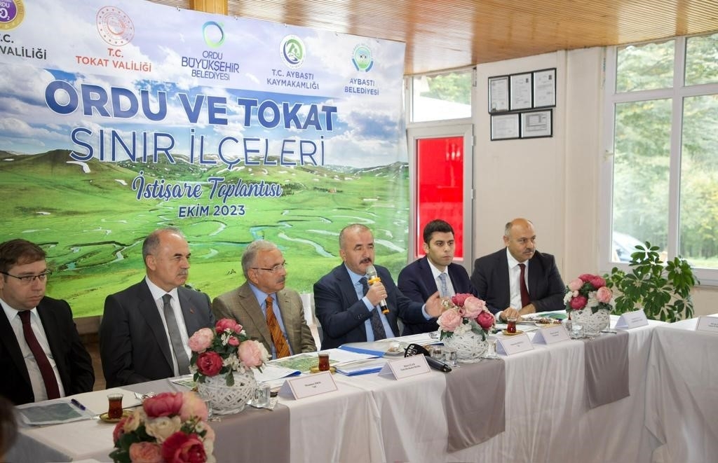 Ordu-Tokat ittifakı

