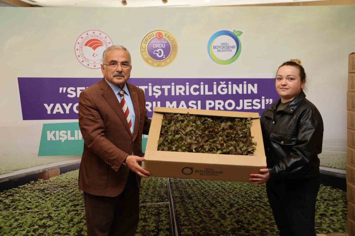 Ordu’da 4,5 yılda 3 milyon sebze fidesi vatandaşlara dağıtıldı
