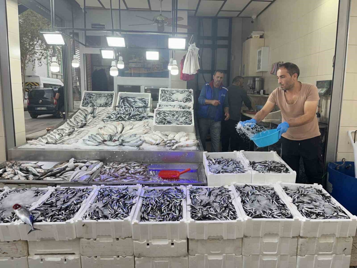 Sinop hamsisi 40 liraya düştü
