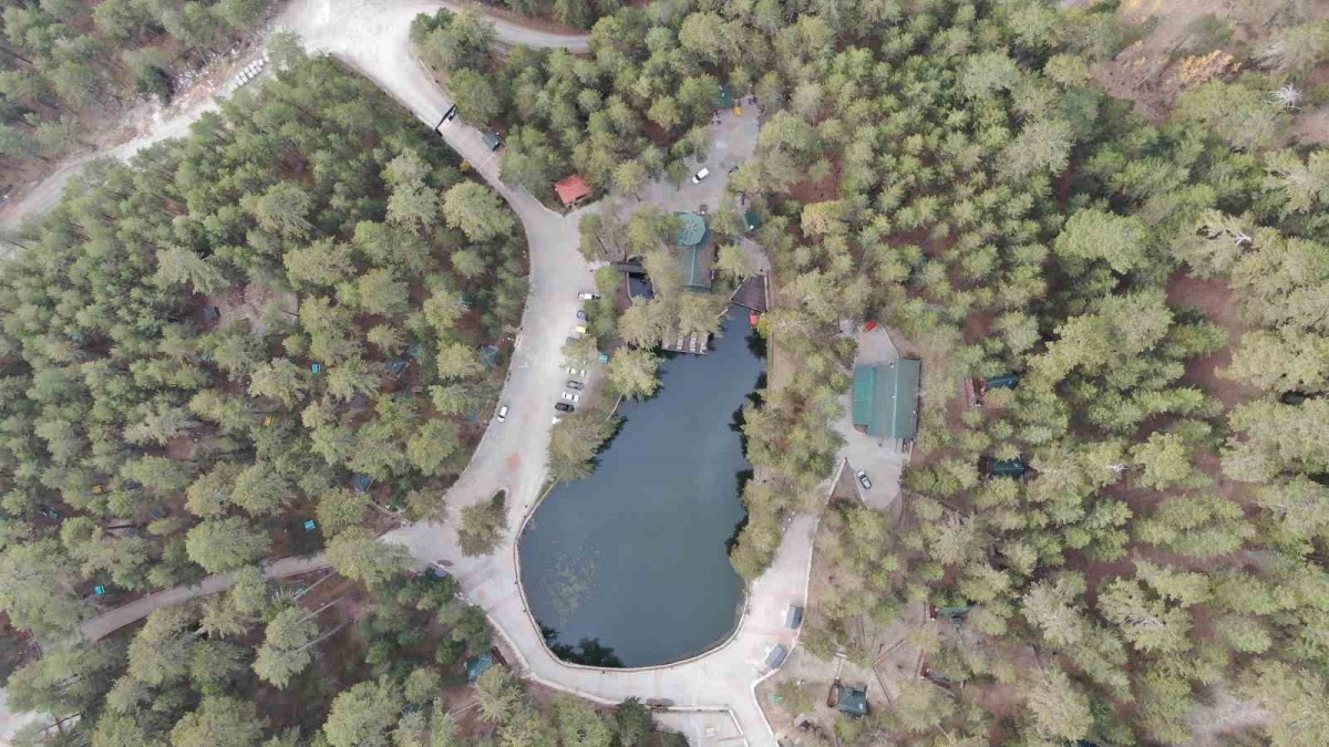 Yangında harabeye dönen tabiat parkı, yeniden ayağa kaldırıldı
