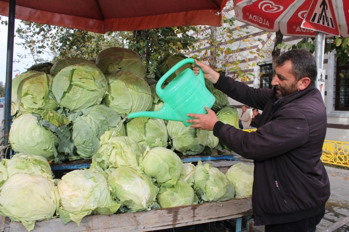 Organik tarımla üretilen lahanalar tezgahta yerini aldı
