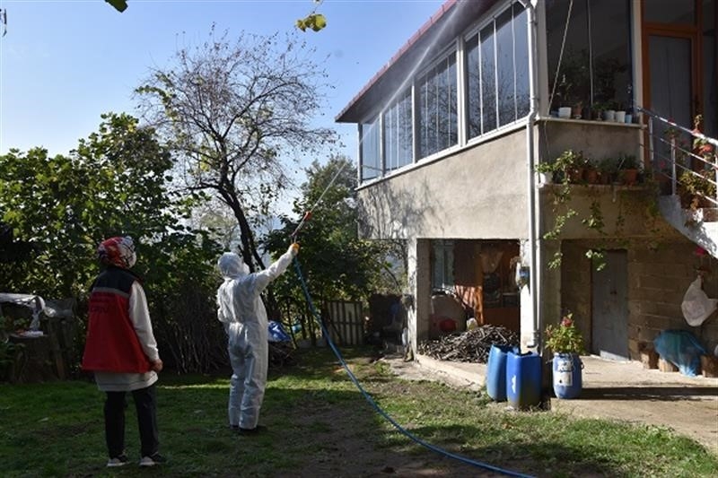 Karadeniz'in kabusu, Kahverengi kokarcaya karşı 2 ayda 33 bin hane ilaçlandı
