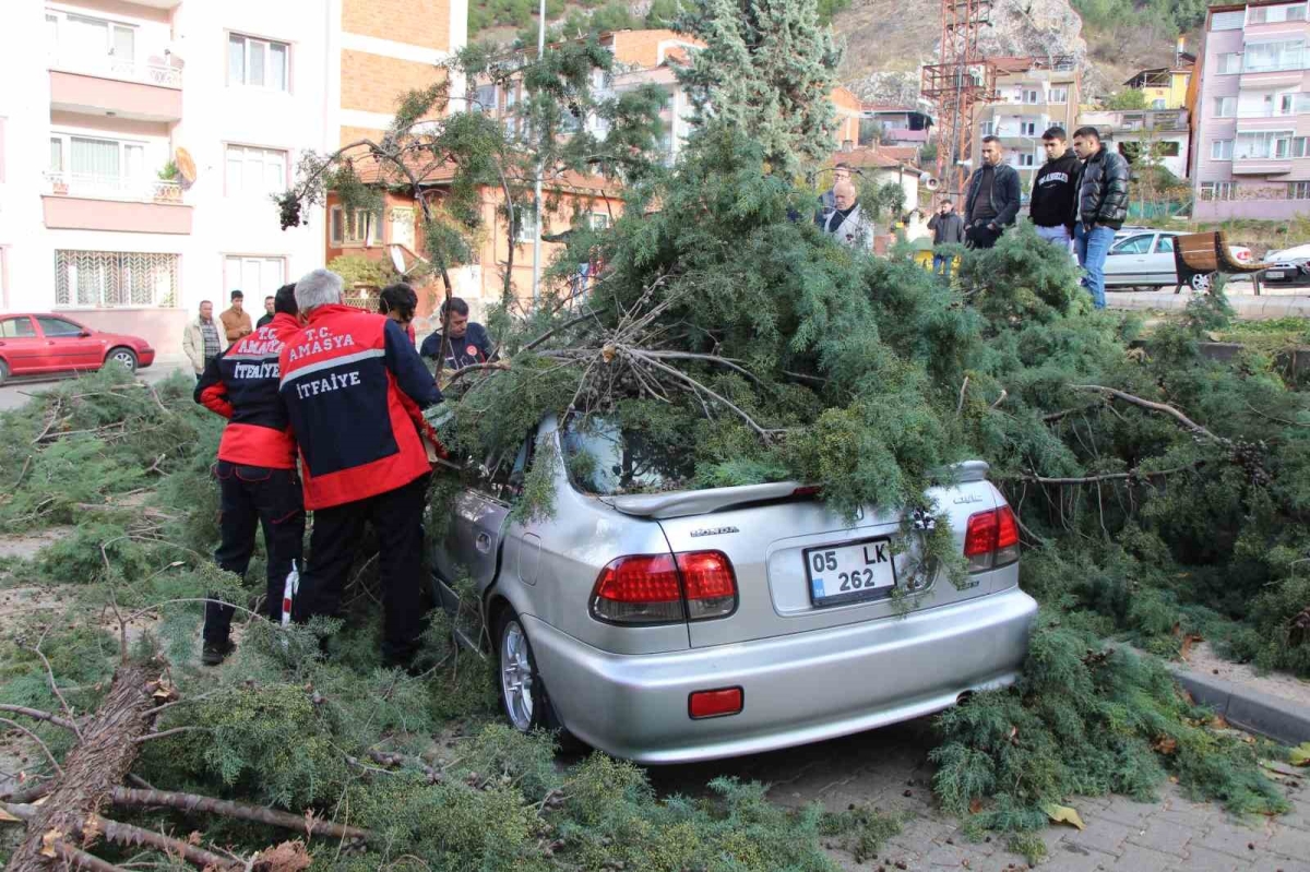 Fırtınada üstüne ağaç devrilen otomobildeki 3 genci baltayla kurtardı
