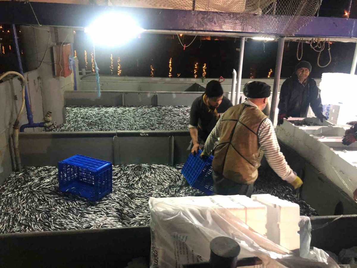 Fırtınanın ardından tezgahlar hamsiyle coştu
